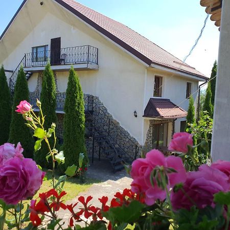 Appartamento Casa Carpati Zărneşti Esterno foto