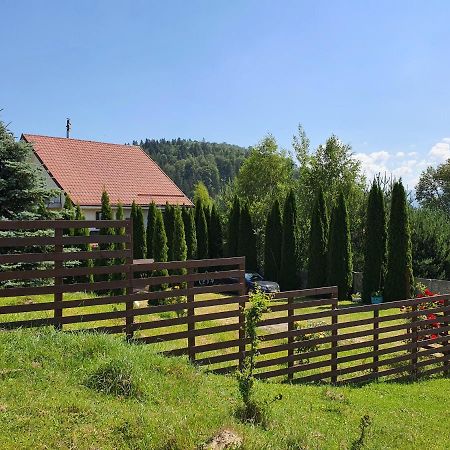 Appartamento Casa Carpati Zărneşti Esterno foto