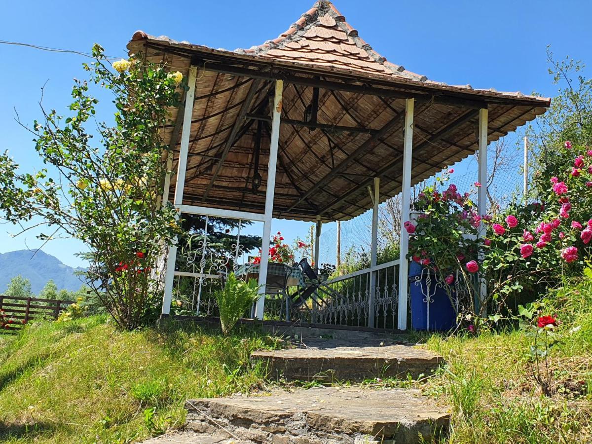 Appartamento Casa Carpati Zărneşti Esterno foto