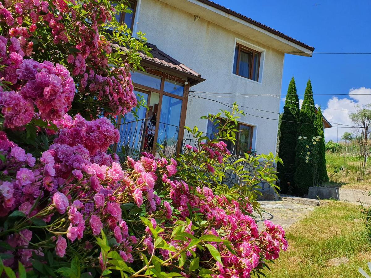 Appartamento Casa Carpati Zărneşti Esterno foto